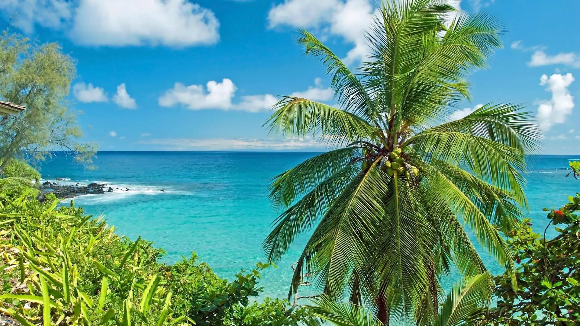 Kaanapali Shores 934 Kahana Διαμέρισμα